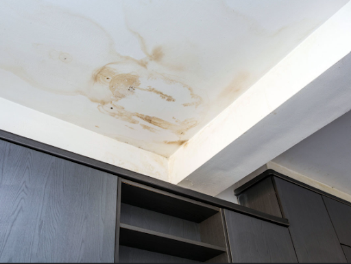 Snake The Drain Ceiling-leaks-that-home-insurance-may-cover Does Home Insurance Cover Plumbing Leaks? A Guide for Homeowners Uncategorized  